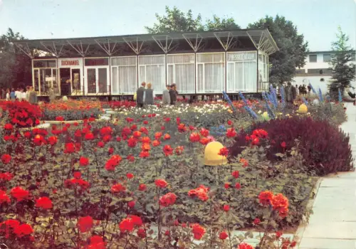 Erfurt Internationale Gartenbauausstellung gl1963 177.692