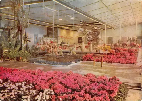 Erfurt Internationale Gartenbauausstellung gl1961 177.701
