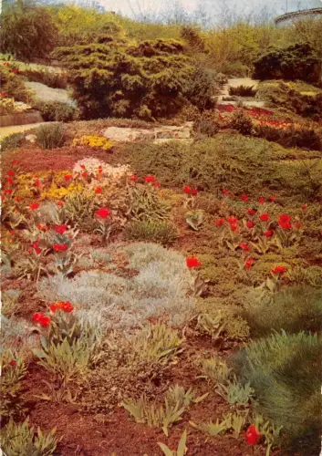 Erfurt 1. internationale Gartenausstellung ngl 177.765