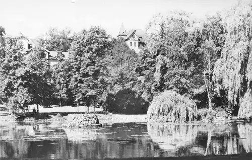 Bad Sulza Schwanenteich im Kurpark ngl 178.288