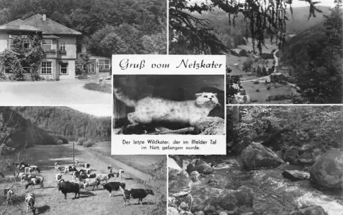 Ilfeld im Südharz Mehrbildkarte gl1970 178.347