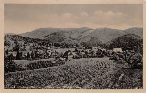 Sülzhayn (Südharz) Blick vom Galgenberg ngl 178.356