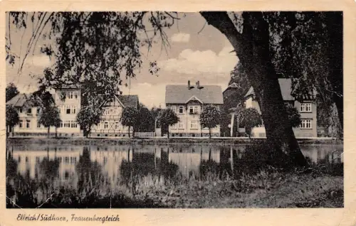 Ellrich Frauenbergteich gl 178.398