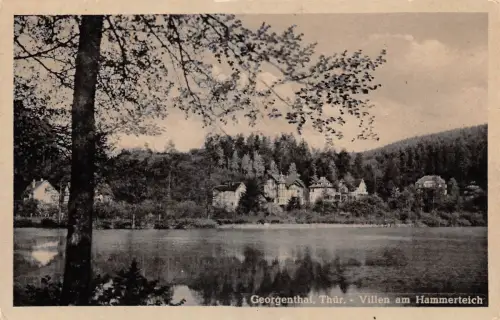 Georgenthal Villen am Hammerteich gl1952 178.549