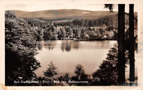 Georgenthal Blick vom Waldsaumweg gl1964 178.550