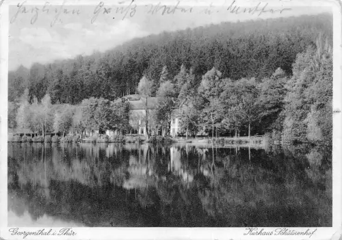 Georgenthal Kurhaus Schützenhof Teich gl1933 178.558