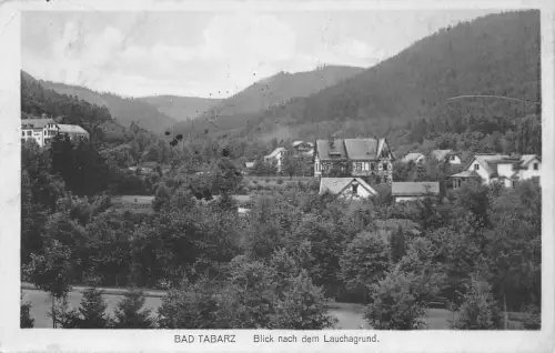 Tabarz Blick nach dem Lauchagrund gl1915 178.585