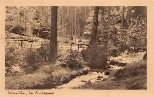 Tabarz Im Lauchagrund gl1954 178.584