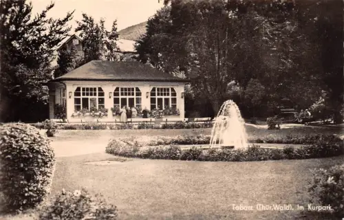 Tabarz im Kurpark gl1960 178.611