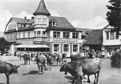 Tabarz Hotel Deutscher Hof gl1965 178.630
