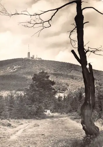 Tabarz Großer Inselberg gl 178.650