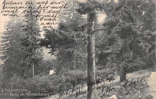Friedrichroda Partie am Reinhardsberg gl1908 178.775
