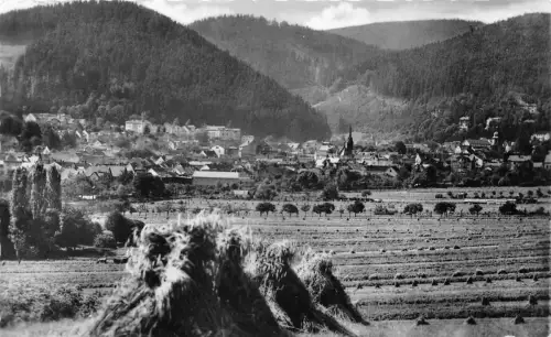 Friedrichroda Panorama gl1960 178.856