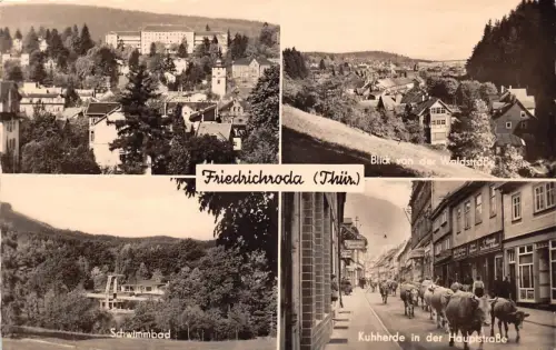 Friedrichroda Mehrbildkarte ngl 178.896