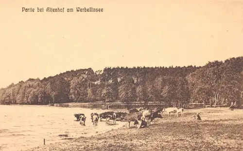 Altenhof am Werbellinsee ngl 179.097