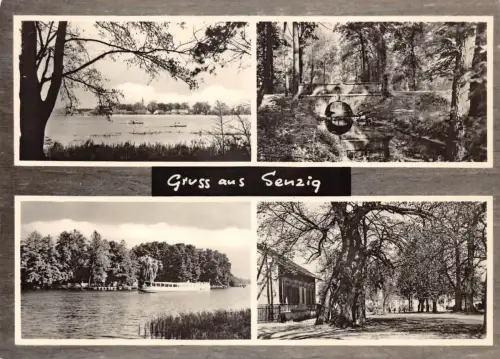 Senzig Mehrbildkarte ngl 179.121