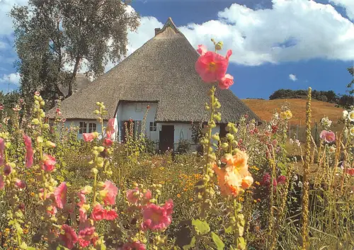 Göhren (Rügen) Groß Zicker Pfarrwitwenhaus ngl 179.300