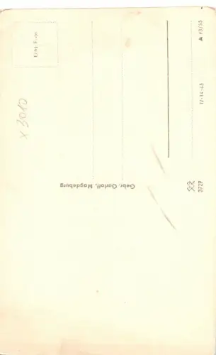 Magdeburg Dom Ostchor ngl 179.519