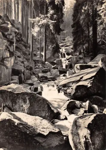 Wernigerode (Harz) Steinere Rinne gl1964 179.582