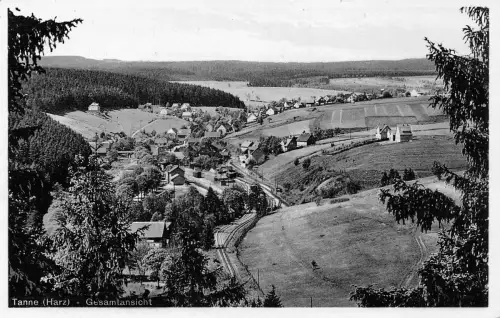 Tanne/Harz Panorama ngl 179.587