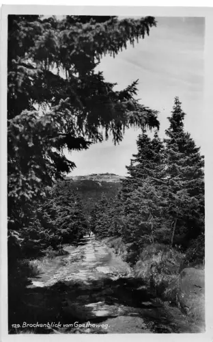Brockenblick vom Goetheweg ngl 179.600