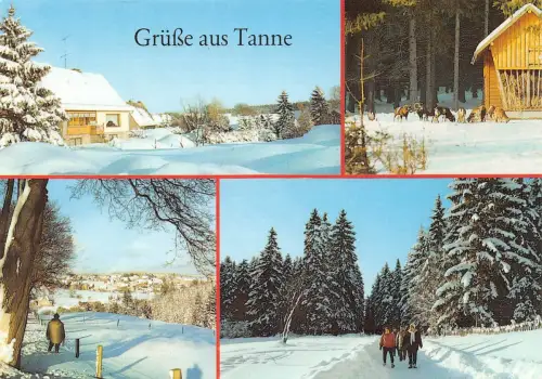 Tanne/Harz Mehrbildkarte ngl 179.589