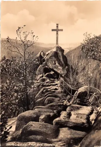 Ilsenburg (Harz) - auf dem Ilsenstein ngl 179.595