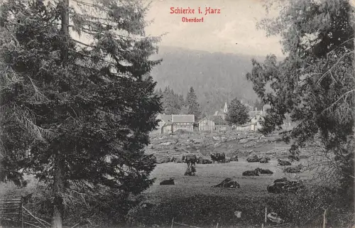 Schierke (Harz) Oberdorf feldpgl1916 179.603