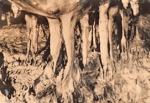 Rübeland Harz Hermannshöhle Märchenwald ngl 179.646