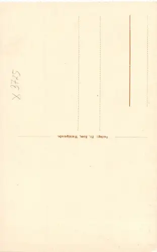 Rübeland Harz Hermannshöhle 8000 jährige Säule ngl 179.641