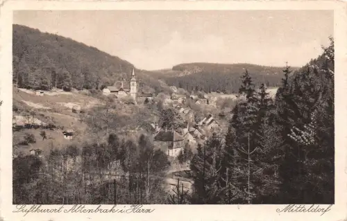 Altenbrak (Harz) Mitteldorf gl1930 179.628