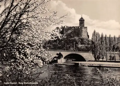 Halle (Saale) - Burg Giebichenstein ngl 179.668