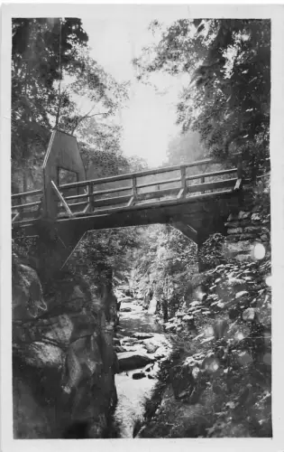 Bodetal (Harz) Teufelsbrücke ngl 179.693