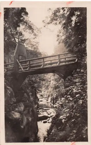 Bodetal (Harz) Teufelsbrücke ngl 179.695