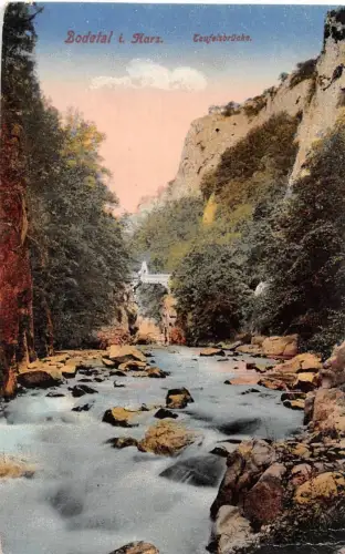 Bodetal (Harz) Teufelsbrücke ngl 179.696