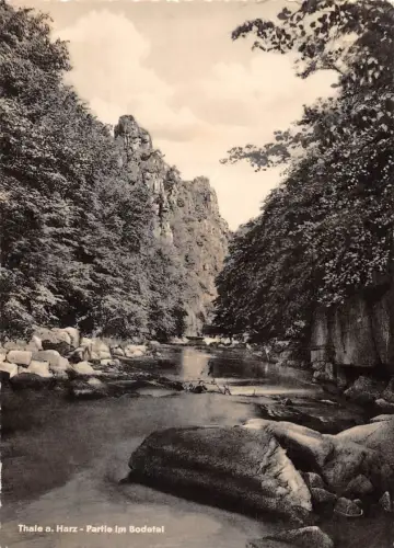 Thale (Harz) Partie im Bodetal ngl 179.706