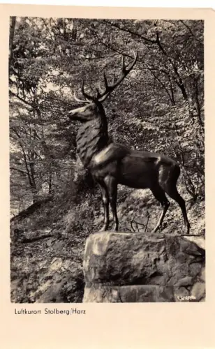 Stolberg (Harz) Hirschdenkmal ngl 179.773