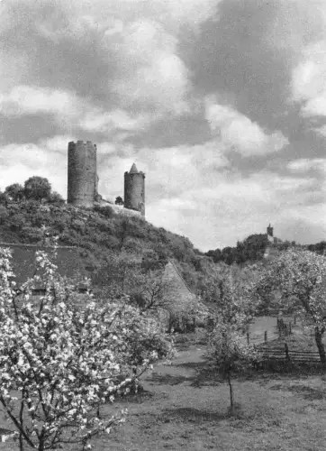 Burg Saaleck und Rudelsburg ngl 179.801