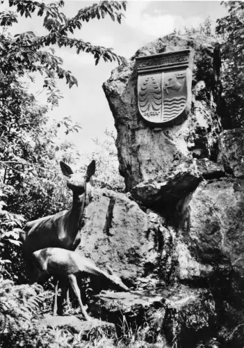 Oberhof (Thür. Wald) Rehgruppe am Dr. Külz-Platz gl 180.107