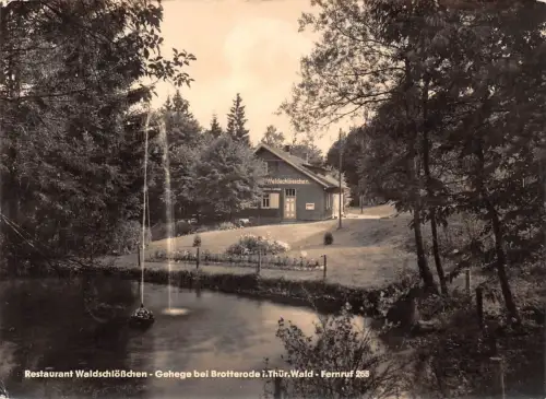 Brotterode Restaurant Waldschlößchen gl1967 180.169