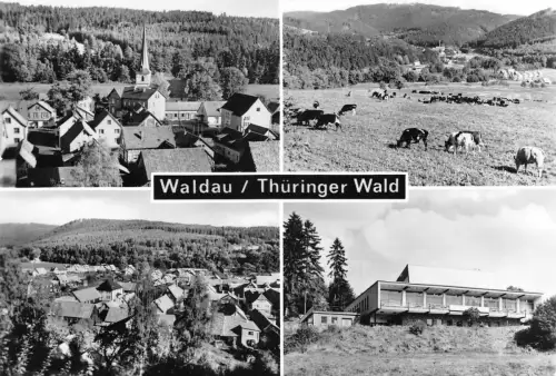 Waldau (Thüringen) Mehrbildkarte ngl 180.212