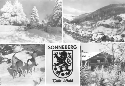 Sonneberg i.Thür. im Winter Mehrbildkarte gl1988 180.308