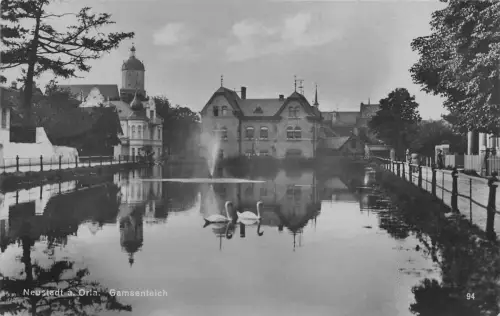 Neustadt (Orla) Gamsenteich gl1927 180.406