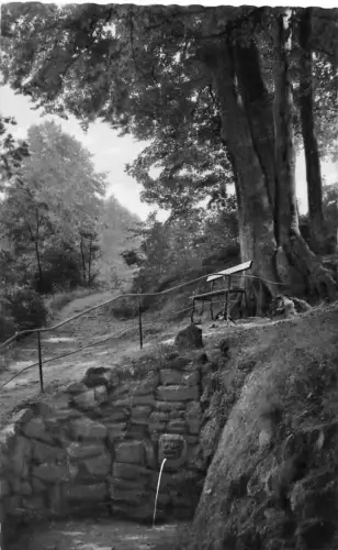 Sonneberg i.Thür. Ringleinsbrunnen ngl 180.428