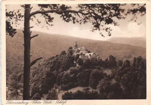 Schwarzburg (Thür.Wald) Schloß von der Hirschwiese ngl 180.538