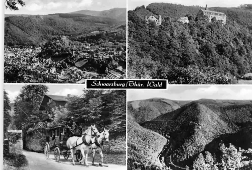 Schwarzburg (Thür.Wald) Mehrbildkarte ngl 180.553