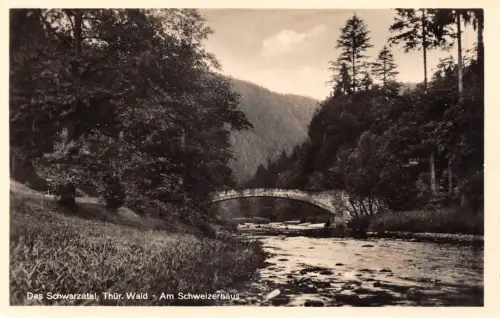 Schwarzatal (Thür.Wald) Am Schweizerhaus ngl 180.561