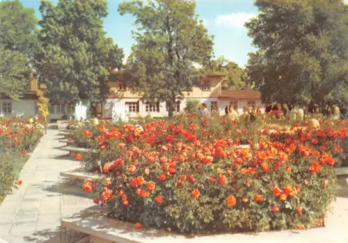 Erfurt internationale Gartenausstellung ngl 180.599