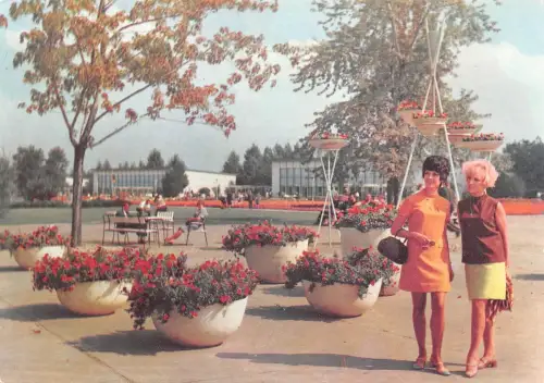 Erfurt internationale Gartenausstellung ngl 180.596