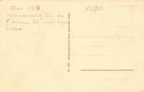 Eisenach Mariental mit Berghotel ngl 180.655